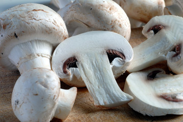 champignons