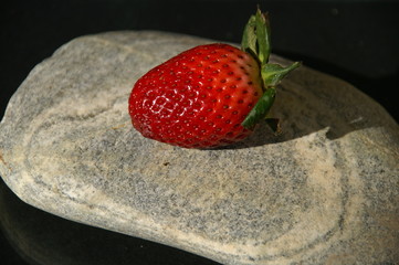fraise sur galet