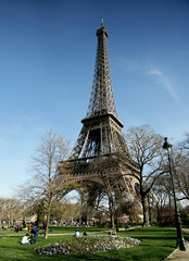 eiffel tower in a sunny day