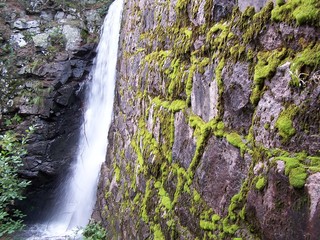 Obraz premium dam waterfall