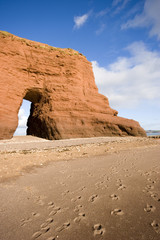 dawlish, devon