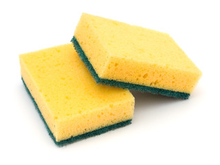 two cleaning sponges