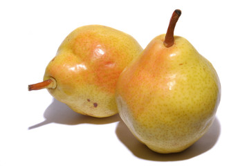 yellow pears