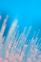 optical fibers