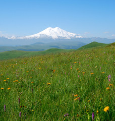 elbrus