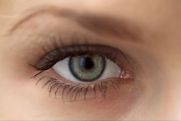 eye - 2