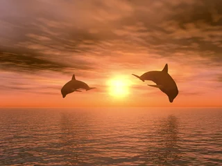  twee dolfijnen © Olga Galushko