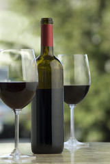 wine tasting