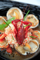 shrimp
