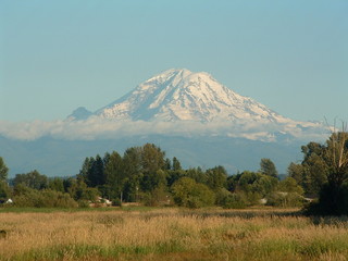 mount ranier on a clear day
