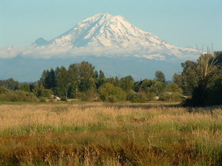 a view of mount ranier