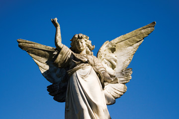 angel above