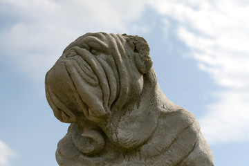 bulldog