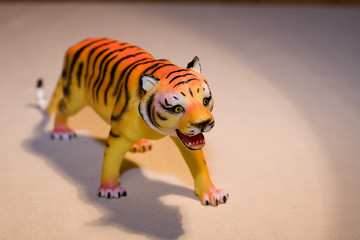 walking tiger