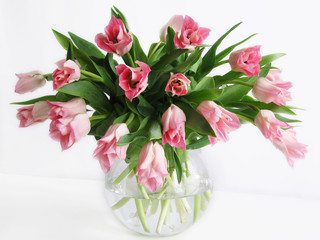 bouquet of tulips
