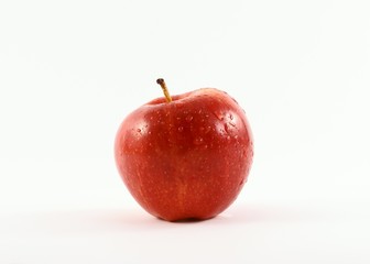 royal gala apple