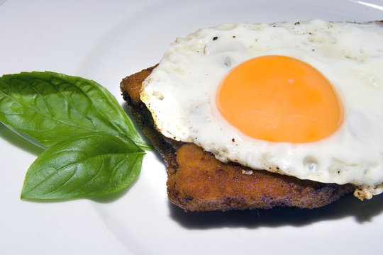 schnitzel