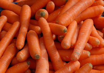 karotten