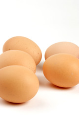 eggs