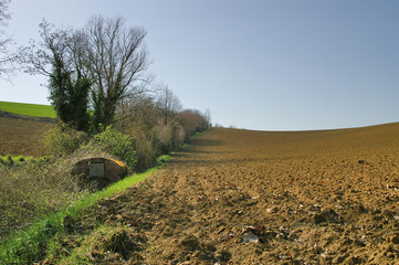 le vallon de la coline