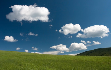 green grass blue sky and white clouds