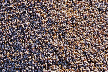 Fototapeta premium pebbles texture