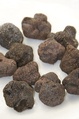 truffes