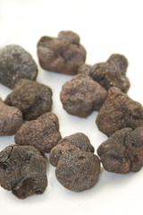 truffes
