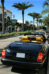 rodeo drive, beverly hills, california