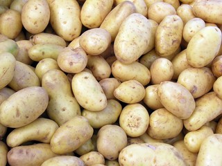 early potatoes