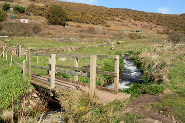 Fototapeta na wymiar Drewniany most nad strumieniem w kenidjack v