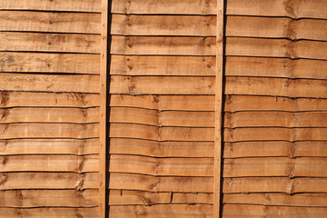 orange wood stained fence background.
