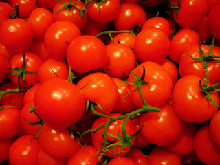 tomates