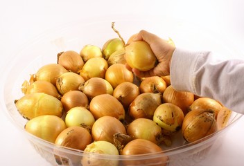 brown onion and hand