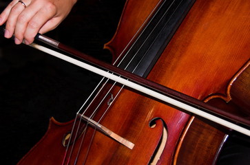 feminine hands playing cello