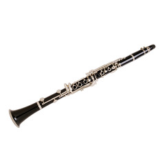 Naklejka premium clarinet-2