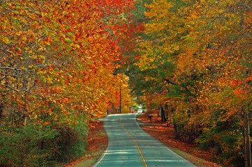 Naklejka premium fall highway