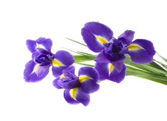 Stickers pour porte Iris fleur