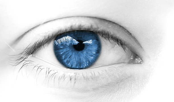 oeil de femme regard bleu doux calme