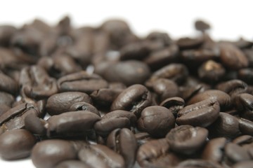 coffee beans