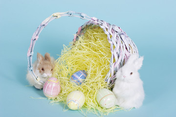 easter bunnies
