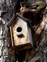bird house