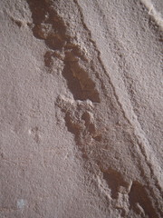 stone detail