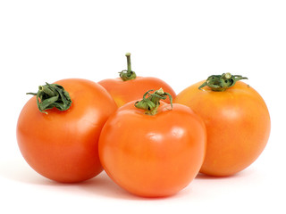 tomatoes_4
