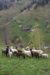 mountain landscape