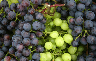 grapes