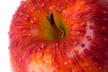 red apple with water drops