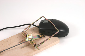black computer mouse caught in a mouse trap