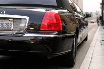limousine at the walk of fame, hollywood blvd. - obrazy, fototapety, plakaty