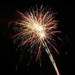 firework